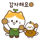 꽃 어여쁘다 이미지