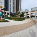 평택시청 중앙광장1 이미지