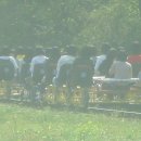 문경 관광사격장 이미지