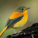 으뜸환경 이미지