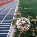 남면공설운동장 화장실 이미지