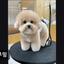 두루밍 이미지