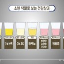 소변 색깔로 보는 건강 상태 6가지 이미지