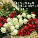 지금이순간 이미지