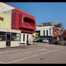 힐링 토마토 사우나 이미지