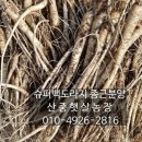 고향산천슈퍼 이미지