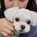 제이원펫 이미지