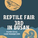 렙타일갤러리