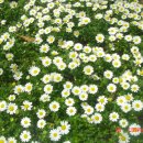 무교동식당 이미지