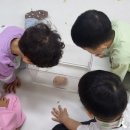 내성초등학교병설유치원 이미지