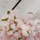 30초커피 월평점