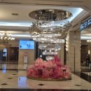 하이원 그랜드호텔카지노 이미지