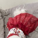 개등드리# 이미지