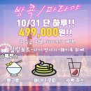 팡팡여행사 이미지