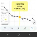 달타령 - 경주시 | 과체중 20대 여성, 마운자로 2.5mg 한달 솔직 후기
