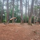 부산종합터미널 이미지