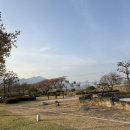하동 [평사리 공원 캠핑장] 55번, 43번 자리 이용후기/ 섬진강 유채꽃밭 개화상태/ 마켓컬리 캠핑 밀...