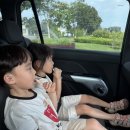 주니어목장 | 푸꾸옥 사파리 주키퍼 6살 만4세 후기 +꿀팁