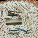 까치열쇠 이미지