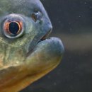 활어세상 이미지