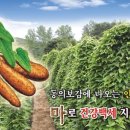 산약테마공원 Daum카페