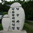 맹골사랑 이미지