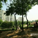 곡성-032 이미지