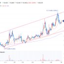 한솔아그로 이미지