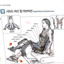 오투존 휘트니스 이미지