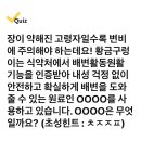 230428 캐시워크 - 황금구렁이 이미지