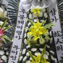 법무법인홍인