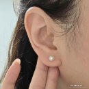 티하리 | 여성 귀걸이 추천 l 하리쥬얼리 14K 오스트리아 진주 귀걸이 후기