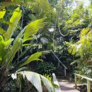 우림가든 이미지