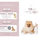 HMC펫케어 이미지