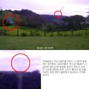 ‘독수리 5형제?’ 수수께끼 발광체 포착 이미지