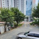 대구다사맛집 착한면옥 냉면과함께 주꾸미볶음