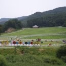 지온목장 이미지