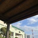 안일중학교 사거리 | 청춘! 이는 듣기만 하여도 가슴이 설레는 말이다.