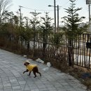 예스점핑다이어트 | 250101-250111] 1월 첫째 주부터 둘째 주까지 소소한 일상 기록 (*긴글주의)