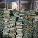 불루캠핑장 이미지