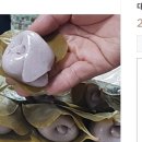 콩자랑전통식품 이미지