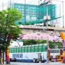 서구-12 이미지