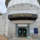 🐠고성 아이랑 가볼만한곳 [화진포 해양박물관] 후기
