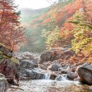 소금강 이미지
