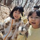 신성태권도 이미지