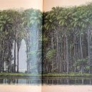 AOW(아오와) 이미지