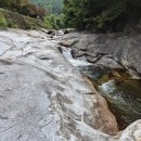 용자정 Daum카페