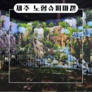 씨유제주노형길점 | 제주 미디어아트 전시회 추천, 노형수퍼마켙 직접 가본 후기