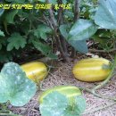 숲속나라어린이집 이미지