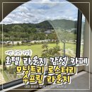 무인카페모닝 | 구암동카페 모닝트리 로스터리 수프림 라운지, 정원뷰 좋은 대전디저트카페 후기